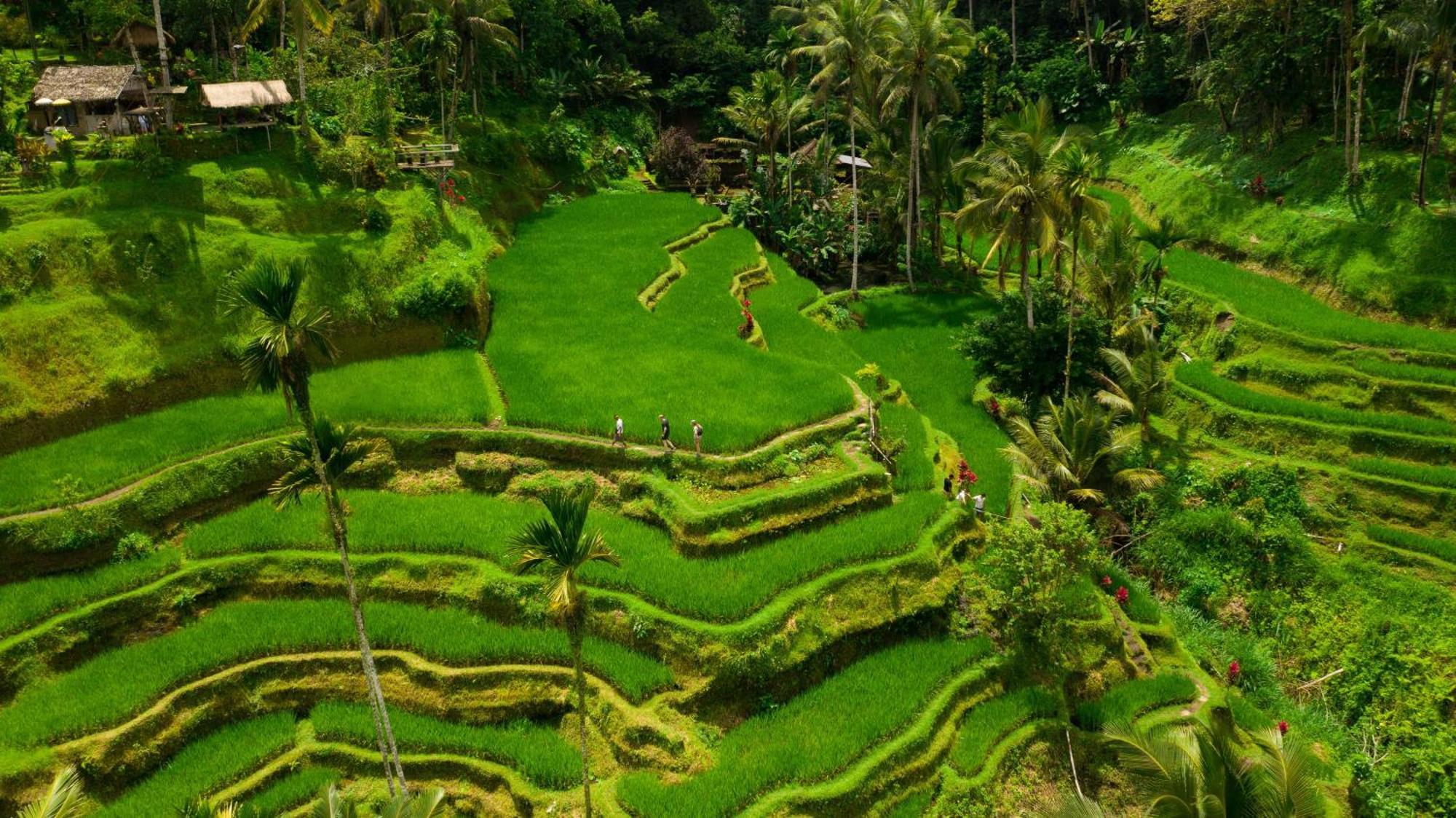 Alila Ubud Payangan Εξωτερικό φωτογραφία